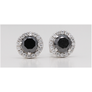 18K Gold Round Diamond Multi-Stone Set Black Enhanced Halo Studs (Black(Irradiated) White Clarity)