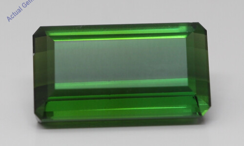 Emerald Cut Natural Mined Loose Tourmaline (21.66 Ct,Dark Green(Heat-Treated) Color,Vs2 Clarity)